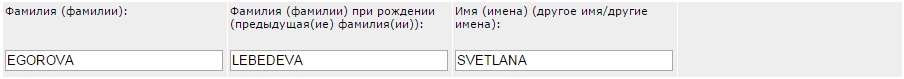 Как заполнить анкету на визу в Германию Как заполнить анкету на визу в Германию