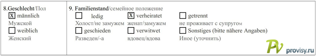 Как заполнить анкету на визу в Австрию Как заполнить анкету на визу в Австрию